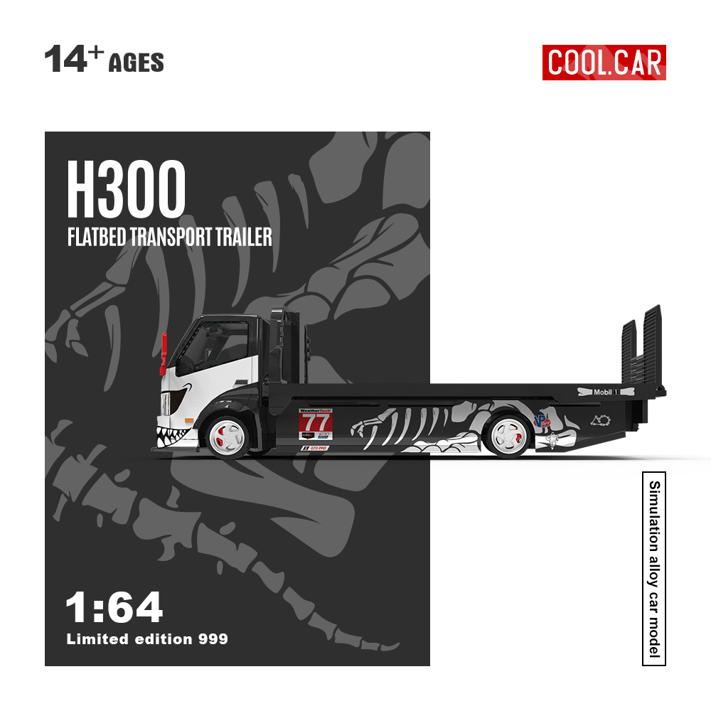 *Pre-sale*Cool Car 1:64 H300 F - đánh giá và giá Die Cast Car 1 64