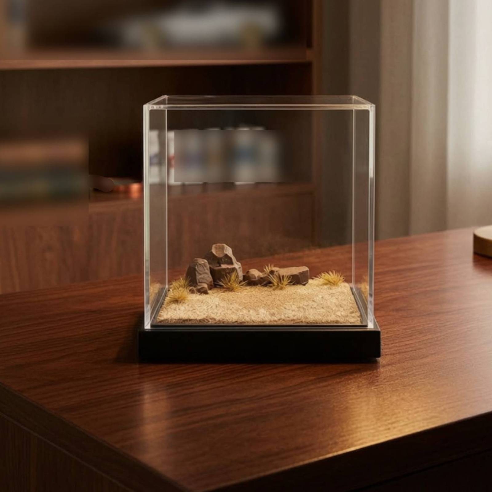 Miniature Scene Platform Clear - đánh giá và giá Display Case Acrylic