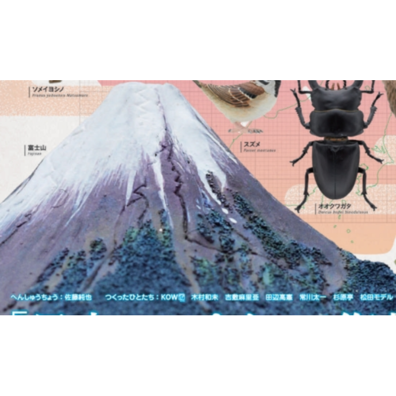 Japan Ikimon Gashapon Capsule  - đánh giá và giá Capsule Toy Gashapon