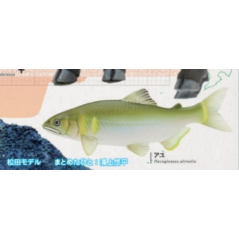 Japan Ikimon Gashapon Capsule  - đánh giá và giá Capsule Toy Gashapon